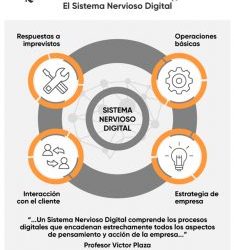 «Mejora continua: El camino hacia la excelencia empresarial» Descubre la importancia de la mejora continua en tu empresa y cómo Plaza Consultores puede ayudarte a implementar un enfoque de calidad total.